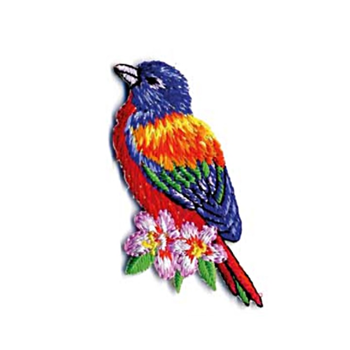 ecusson thermocollant oiseaux tropicaux loriquet arc en ciel mercerie floriane coloriage amande